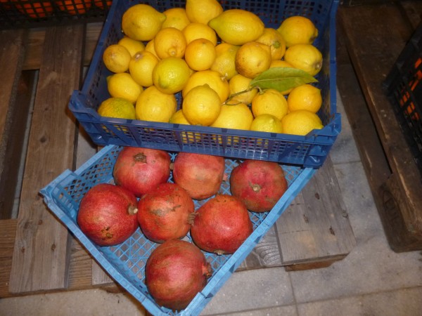 Kombikiste Zitronen+Granatapfel